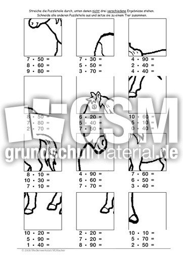 Pferd2.pdf